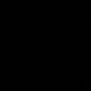 Meet your Posher, Bobbie